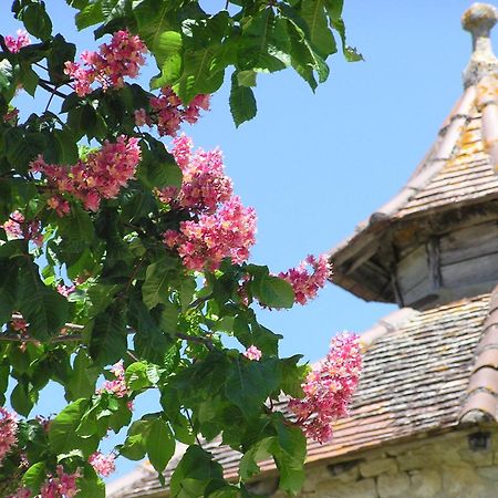 Domaine De L'Isle Basse Panzió Fontanes Kültér fotó