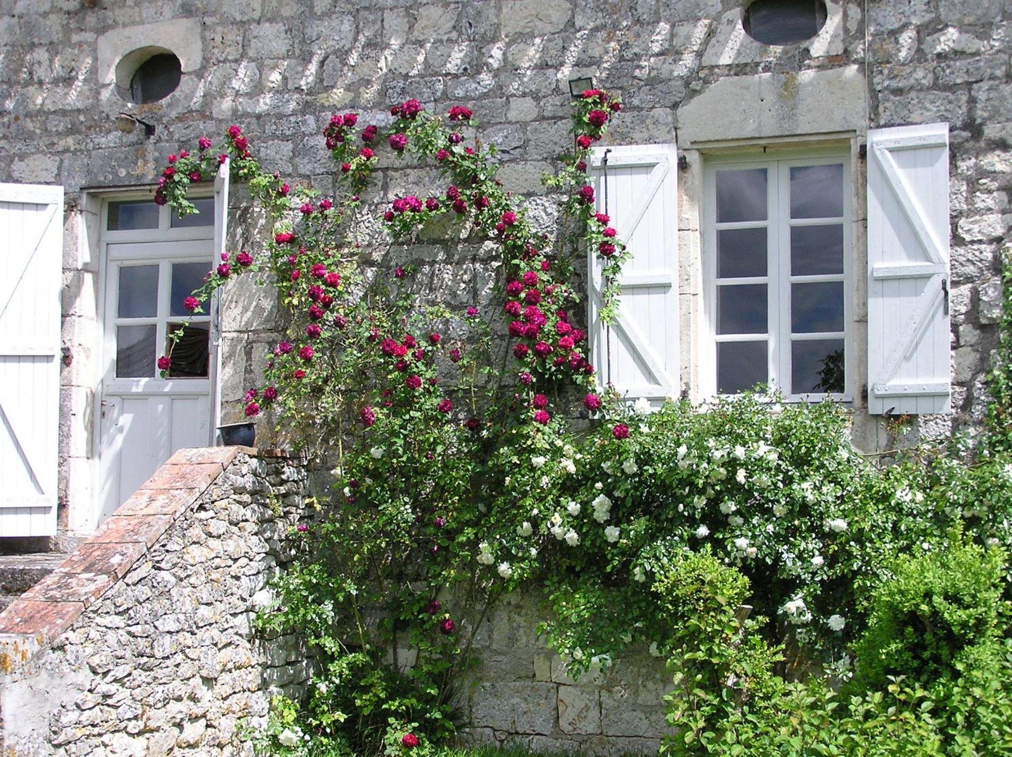 Domaine De L'Isle Basse Panzió Fontanes Szoba fotó